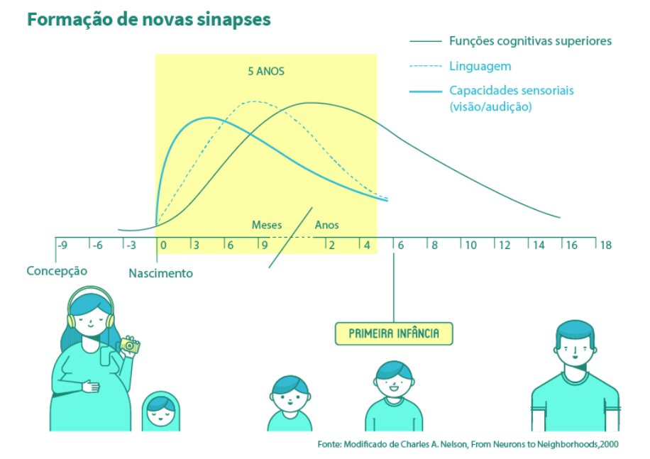 Gráfico de formação de novas sinapses mostrando que é maior na primeira infância